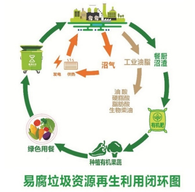 集中處置 重慶餐廚垃圾全量資源利用這樣做！