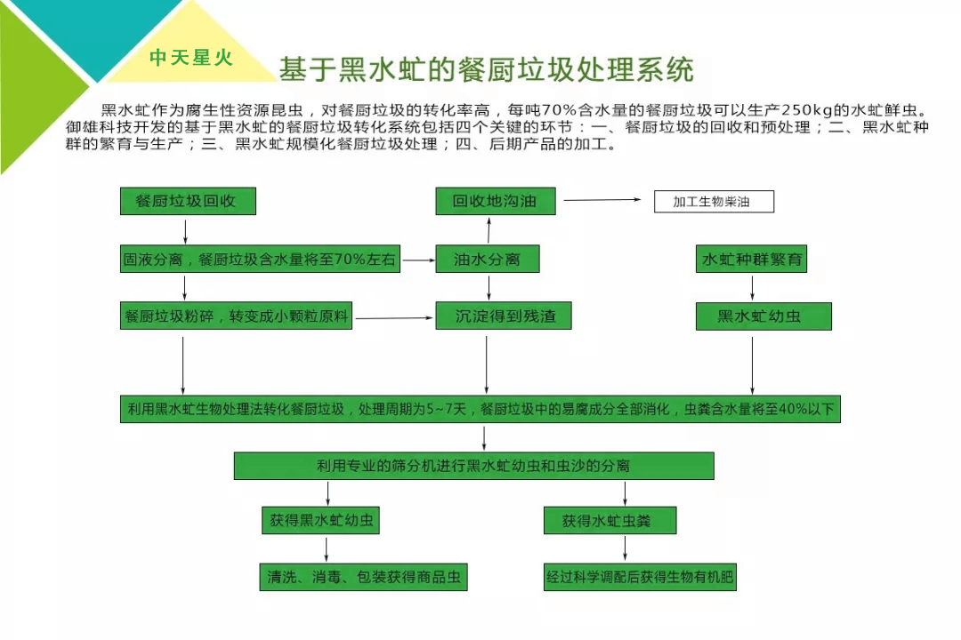 黑水虻處理餐廚垃圾處理設備及工藝流程圖